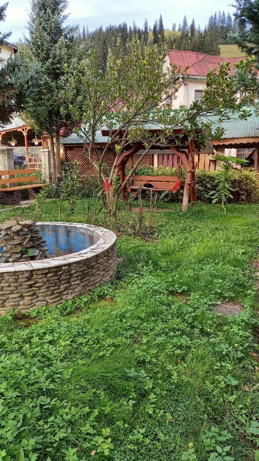 Casa Cu Lavanda Vatra Dornei Luaran gambar