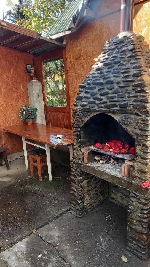 Casa Cu Lavanda Vatra Dornei Luaran gambar