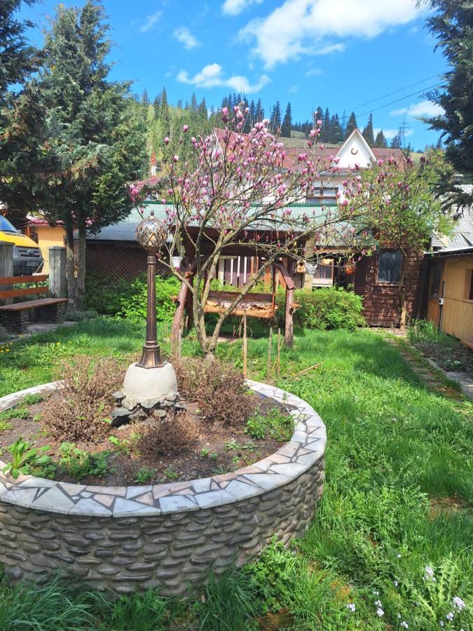 Casa Cu Lavanda Vatra Dornei Luaran gambar