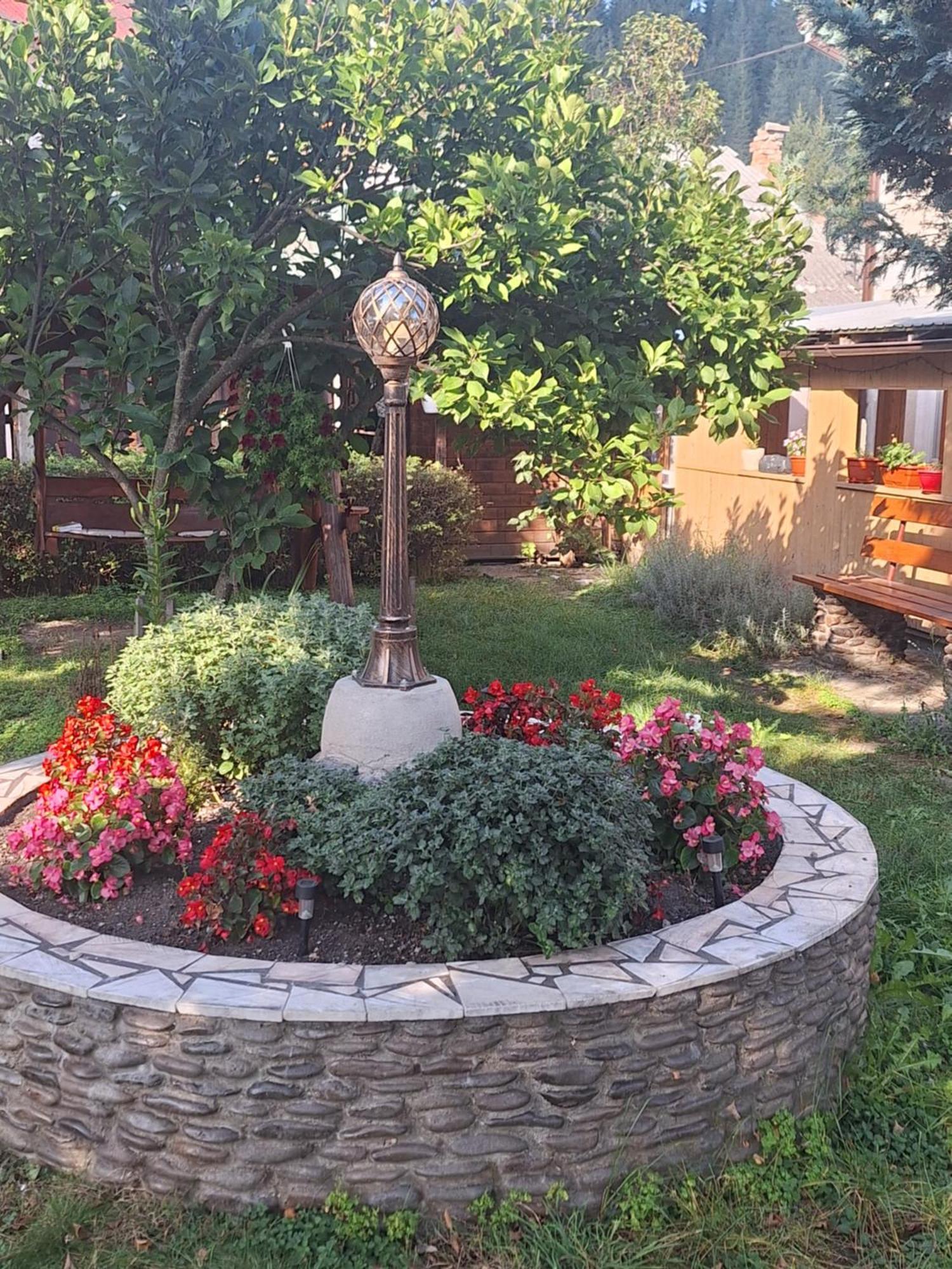 Casa Cu Lavanda Vatra Dornei Luaran gambar